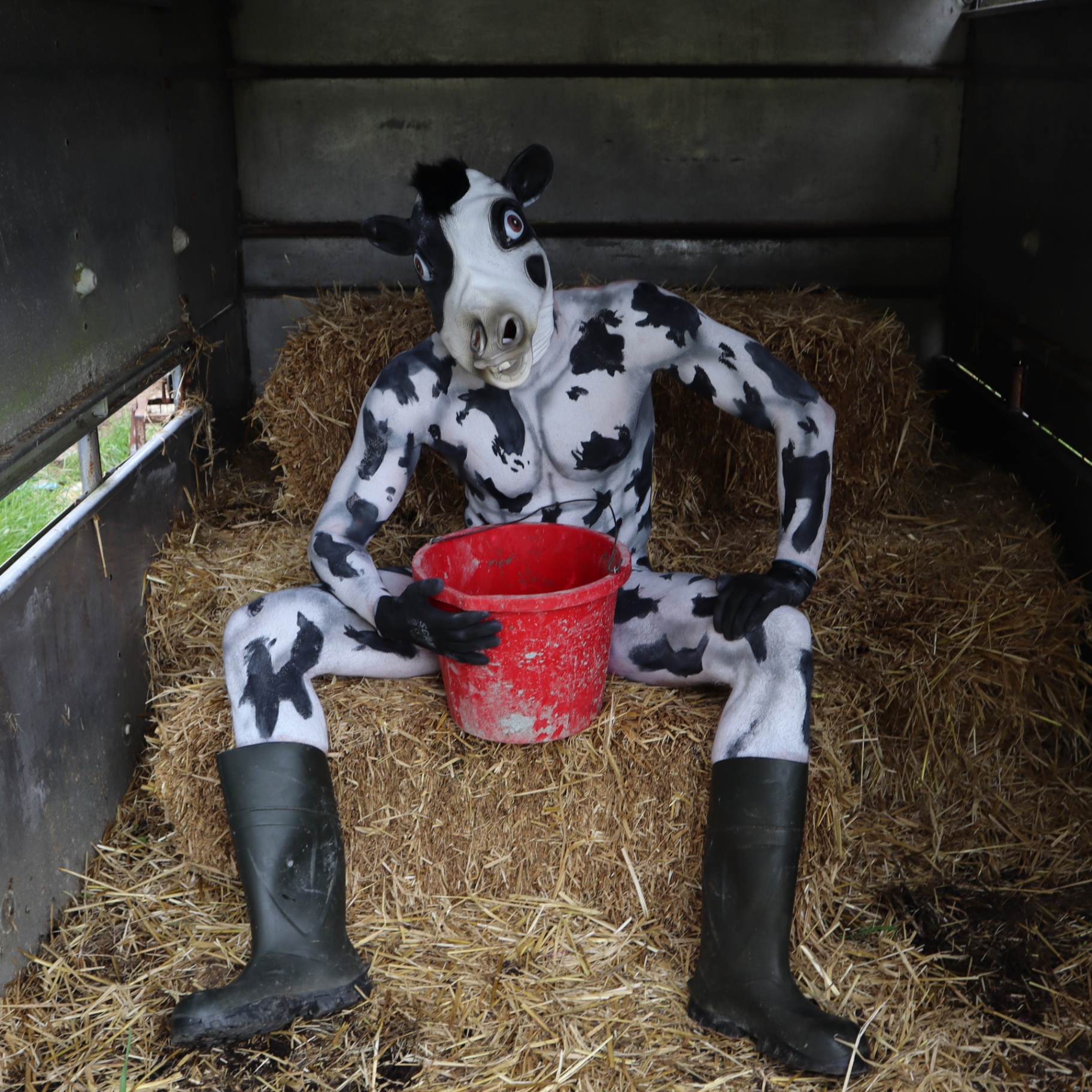Full body paint of COW — Full-body cow paint with mask and wellies — playful farmyard concept.